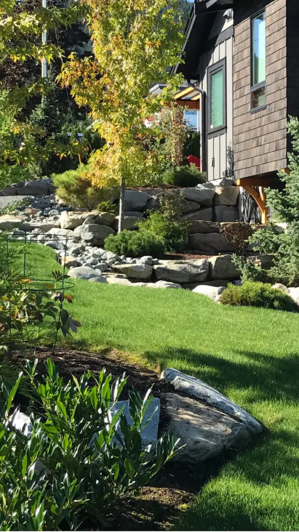 A garden with rocks and plants in the yard